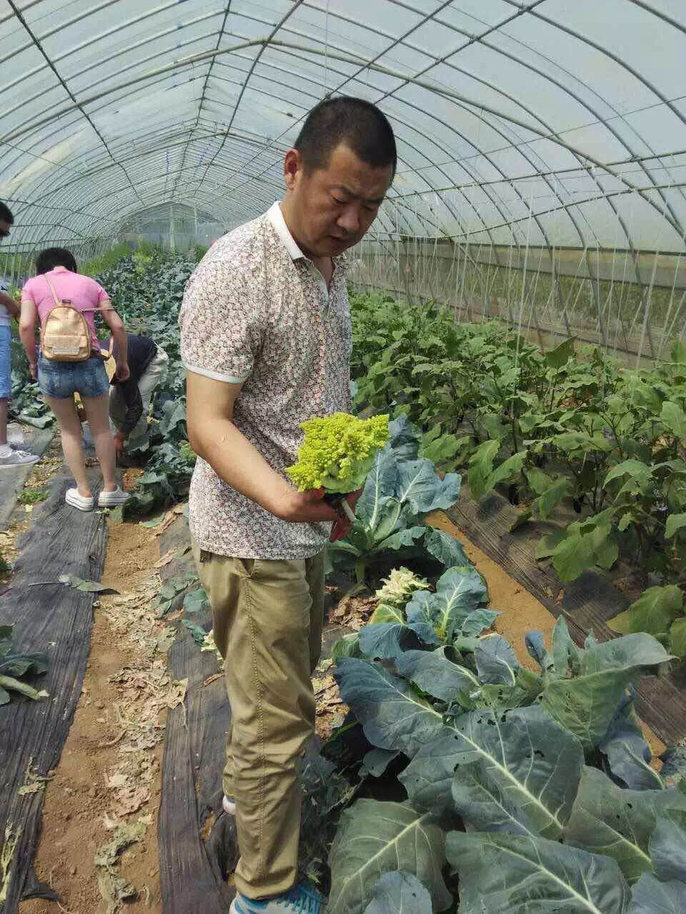 黄金时代恒大名都店会员福利来了